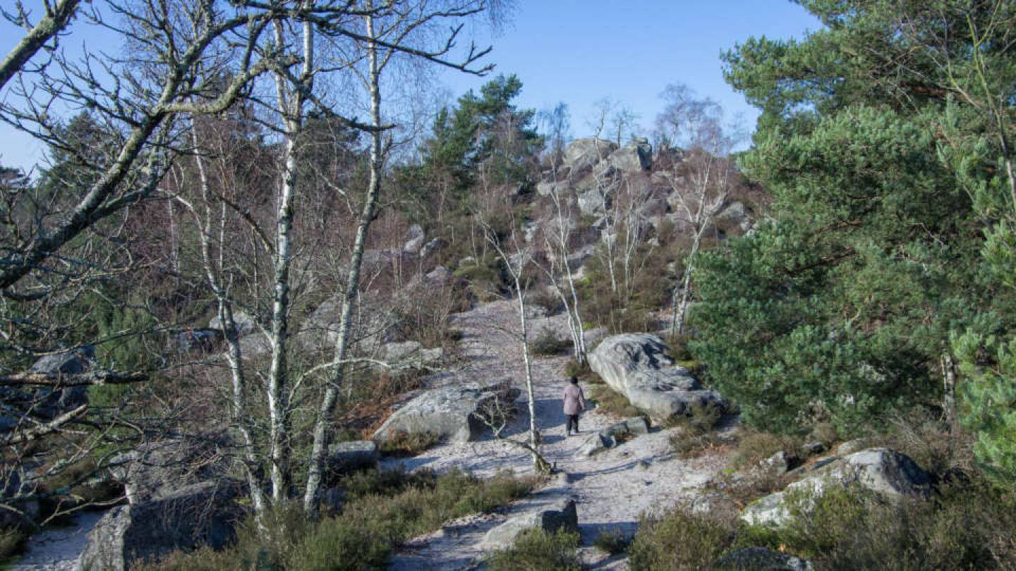 Les Grands Avaux à Noël